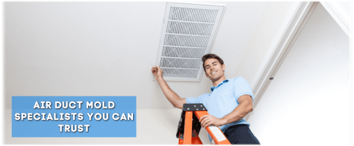 Air Duct Mold Removal in Rockville MD