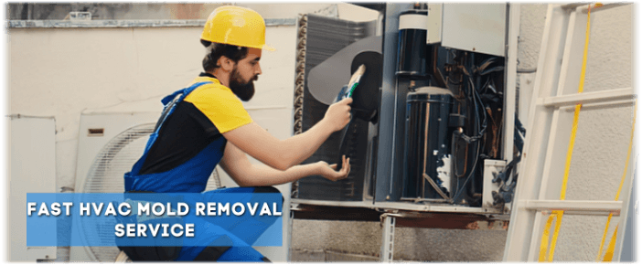 HVAC Mold Removal Rockville MD